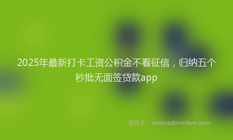 2025年最新打卡工资公积金不看征信，归纳五个秒批无面签贷款app