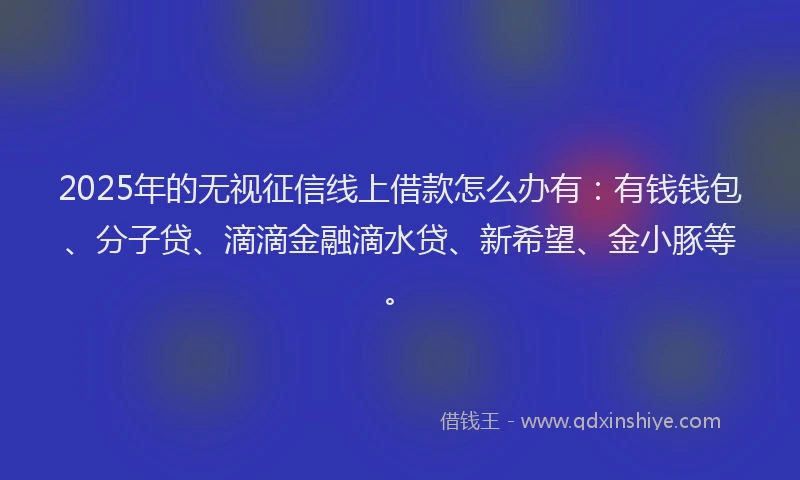 2025年的无视征信线上借款怎么办有：有钱钱包、分子贷、滴滴金融滴水贷、新希望、金小豚等。