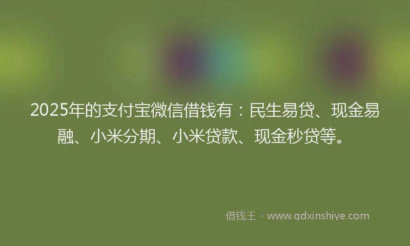 2025年的支付宝微信借钱有：民生易贷、现金易融、小米分期、小米贷款、现金秒贷等。