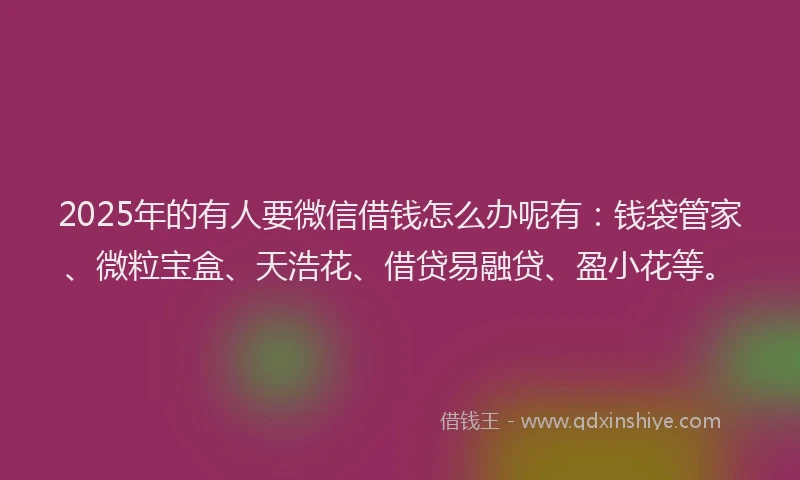 2025年的有人要微信借钱怎么办呢有：钱袋管家、微粒宝盒、天浩花、借贷易融贷、盈小花等。