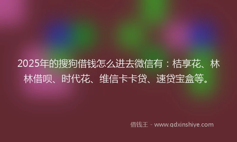 2025年的搜狗借钱怎么进去微信有：桔享花、林林借呗、时代花、维信卡卡贷、速贷宝盒等。