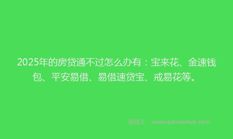 2025年的房贷通不过怎么办有：宝来花、金速钱包、平安易借、易借速贷宝、戒易花等。