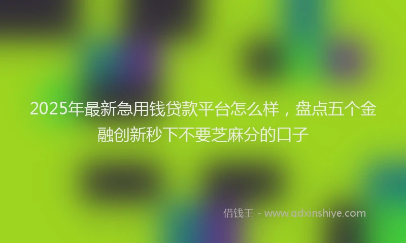 2025年最新急用钱贷款平台怎么样，盘点五个金融创新秒下不要芝麻分的口子