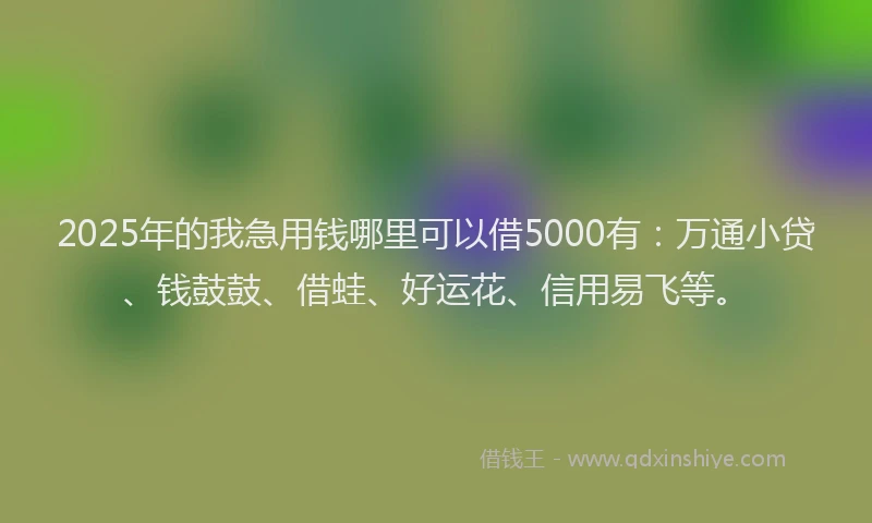2025年的我急用钱哪里可以借5000有：万通小贷、钱鼓鼓、借蛙、好运花、信用易飞等。