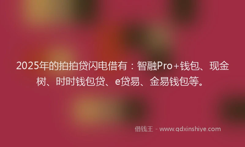 2025年的拍拍贷闪电借有：智融Pro+钱包、现金树、时时钱包贷、e贷易、金易钱包等。