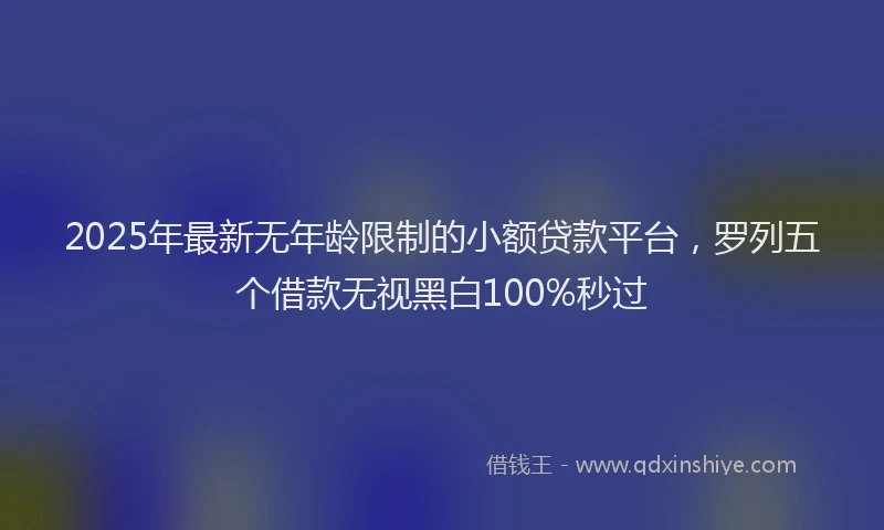 2025年最新无年龄限制的小额贷款平台，罗列五个借款无视黑白100%秒过