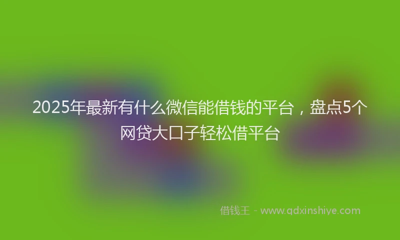 2025年最新有什么微信能借钱的平台，盘点5个网贷大口子轻松借平台