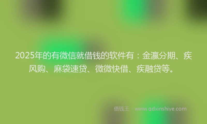 2025年的有微信就借钱的软件有：金瀛分期、疾风购、麻袋速贷、微微快借、疾融贷等。