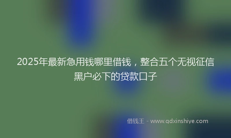 2025年最新急用钱哪里借钱，整合五个无视征信黑户必下的贷款口子