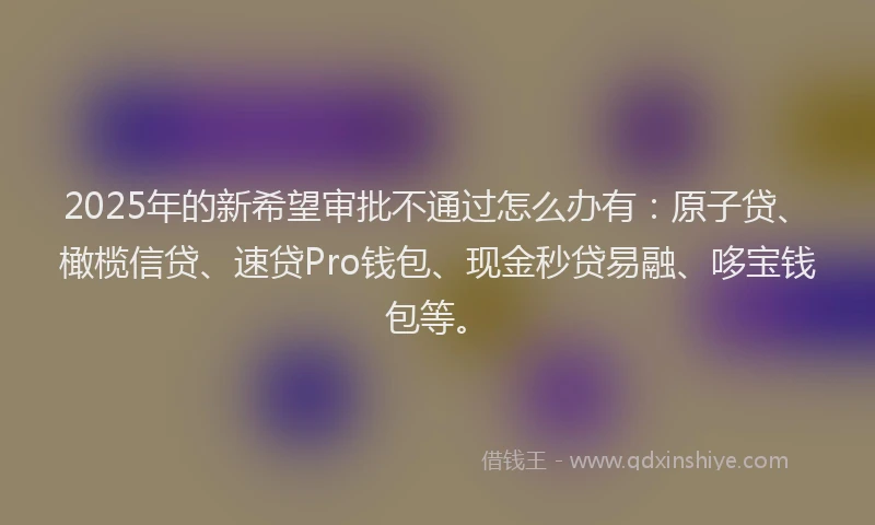 2025年的新希望审批不通过怎么办有：原子贷、橄榄信贷、速贷Pro钱包、现金秒贷易融、哆宝钱包等。