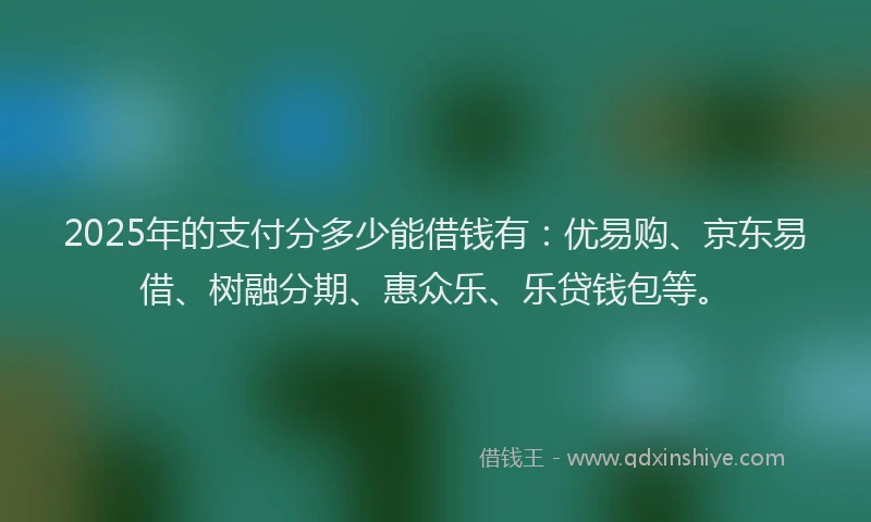 2025年的支付分多少能借钱有：优易购、京东易借、树融分期、惠众乐、乐贷钱包等。