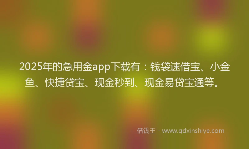 2025年的急用金app下载有：钱袋速借宝、小金鱼、快捷贷宝、现金秒到、现金易贷宝通等。