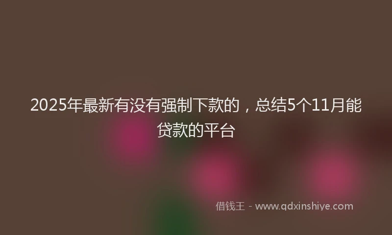 2025年最新有没有强制下款的，总结5个11月能贷款的平台