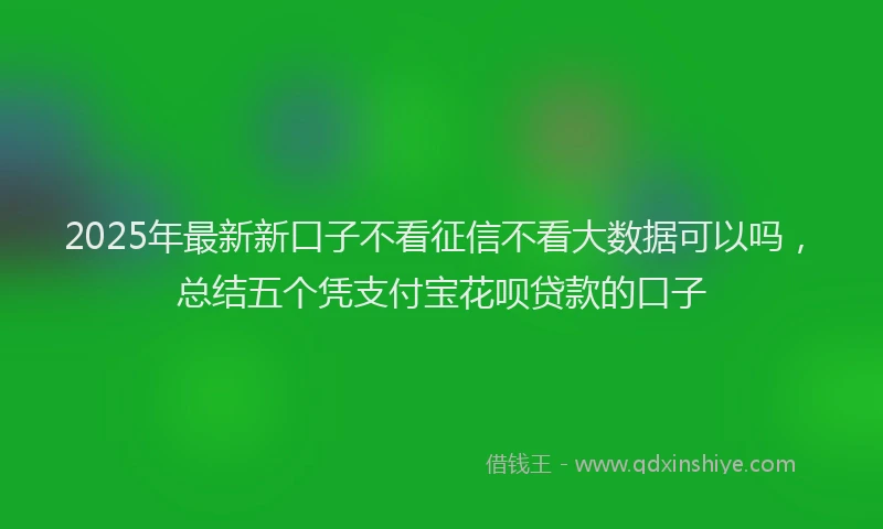 2025年最新新口子不看征信不看大数据可以吗，总结五个凭支付宝花呗贷款的口子