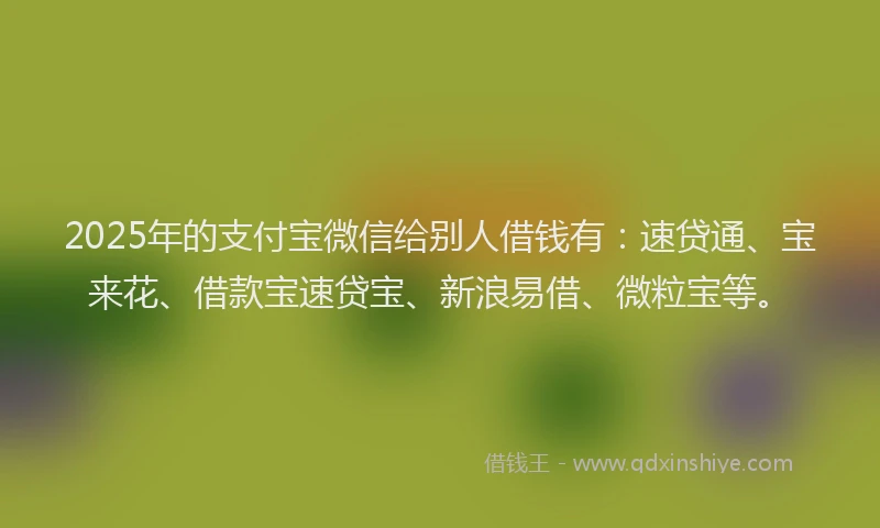 2025年的支付宝微信给别人借钱有：速贷通、宝来花、借款宝速贷宝、新浪易借、微粒宝等。