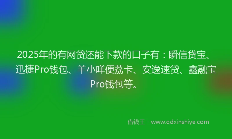 2025年的有网贷还能下款的口子有：瞬信贷宝、迅捷Pro钱包、羊小咩便荔卡、安逸速贷、鑫融宝Pro钱包等。