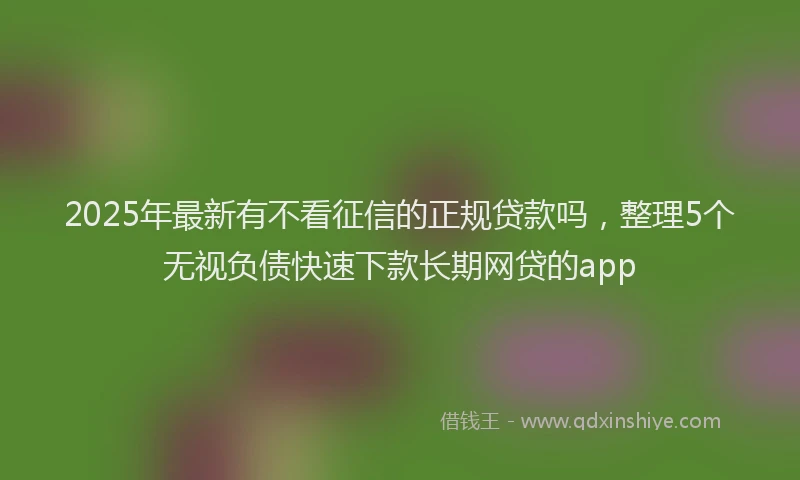 2025年最新有不看征信的正规贷款吗，整理5个无视负债快速下款长期网贷的app