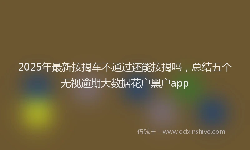 2025年最新按揭车不通过还能按揭吗，总结五个无视逾期大数据花户黑户app