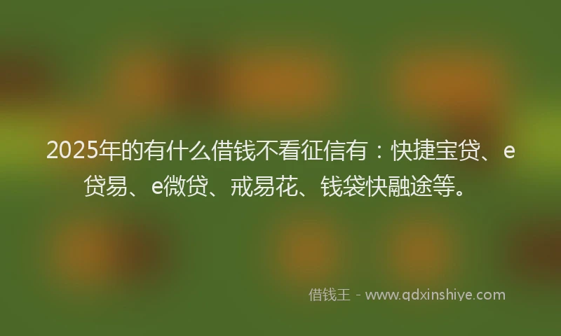 2025年的有什么借钱不看征信有：快捷宝贷、e贷易、e微贷、戒易花、钱袋快融途等。