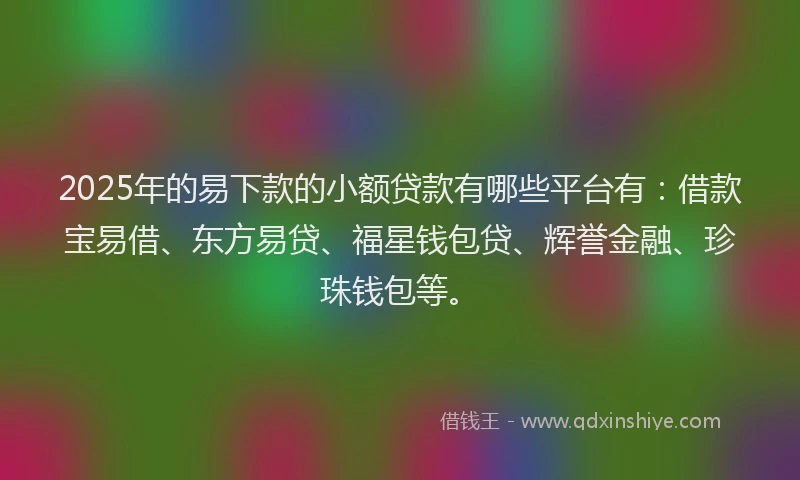 2025年的易下款的小额贷款有哪些平台有：借款宝易借、东方易贷、福星钱包贷、辉誉金融、珍珠钱包等。