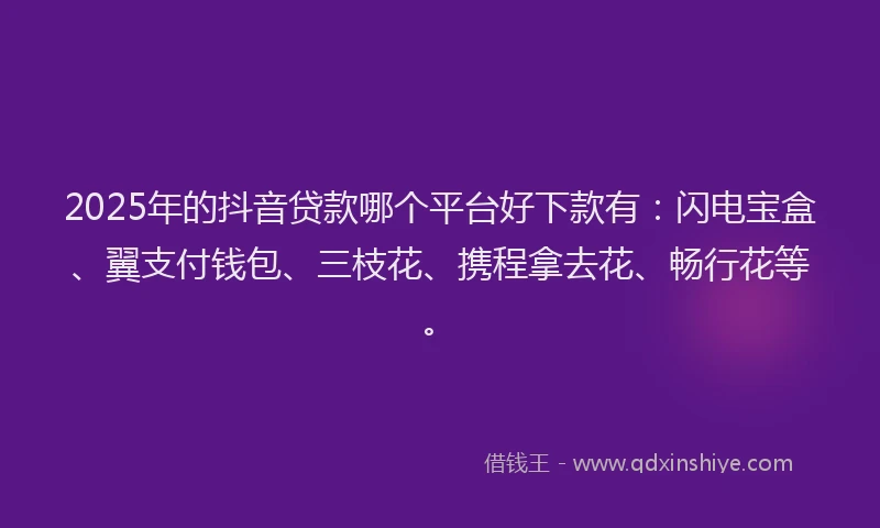 2025年的抖音贷款哪个平台好下款有：闪电宝盒、翼支付钱包、三枝花、携程拿去花、畅行花等。