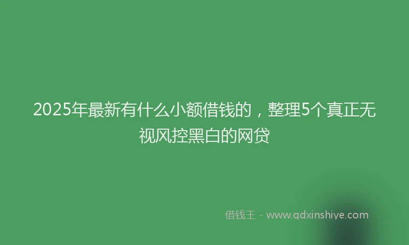 2025年最新有什么小额借钱的，整理5个真正无视风控黑白的网贷