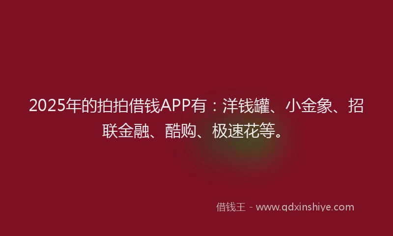 2025年的拍拍借钱APP有：洋钱罐、小金象、招联金融、酷购、极速花等。