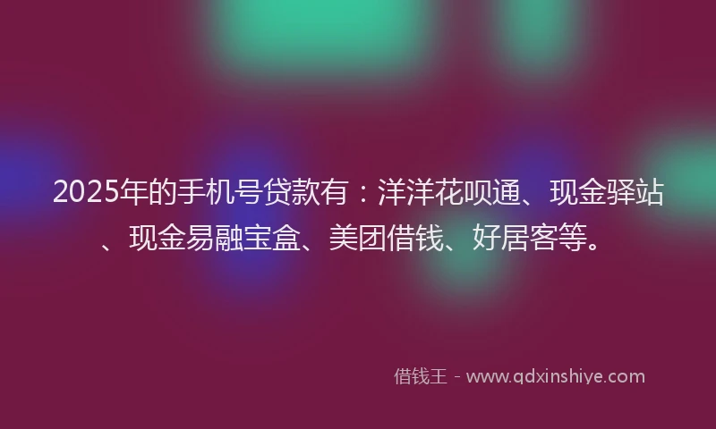 2025年的手机号贷款有：洋洋花呗通、现金驿站、现金易融宝盒、美团借钱、好居客等。