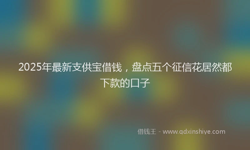 2025年最新支供宝借钱，盘点五个征信花居然都下款的口子