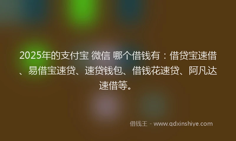 2025年的支付宝 微信 哪个借钱有：借贷宝速借、易借宝速贷、速贷钱包、借钱花速贷、阿凡达速借等。