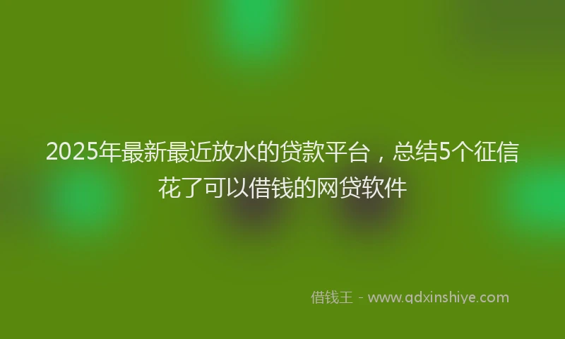 2025年最新最近放水的贷款平台，总结5个征信花了可以借钱的网贷软件