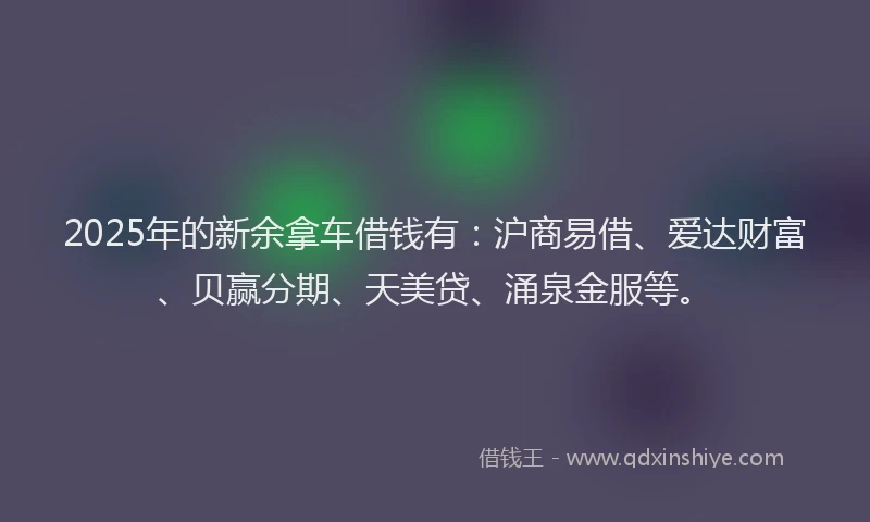 2025年的新余拿车借钱有：沪商易借、爱达财富、贝赢分期、天美贷、涌泉金服等。