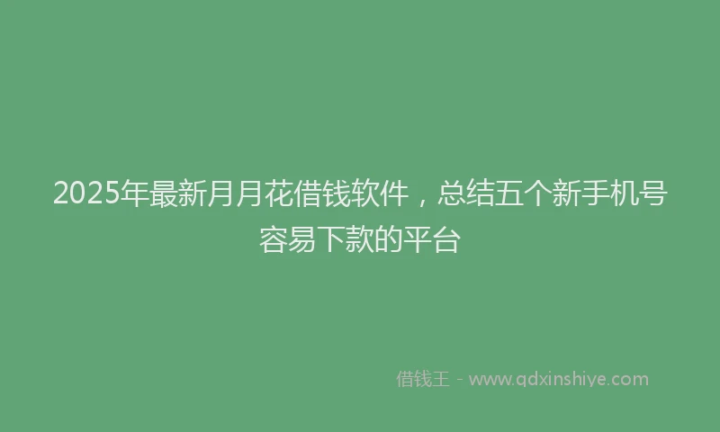 2025年最新月月花借钱软件，总结五个新手机号容易下款的平台