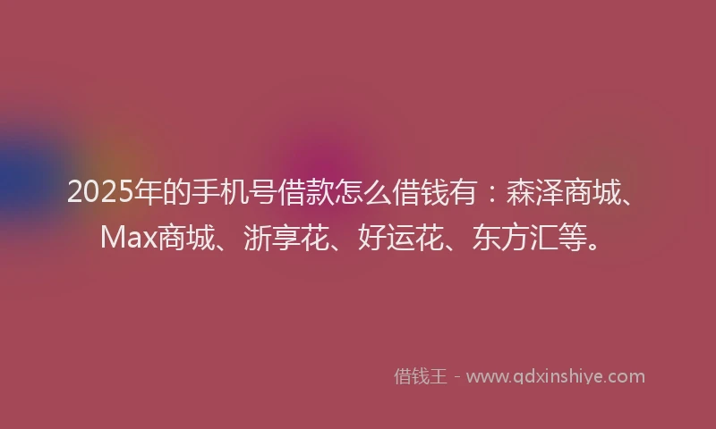 2025年的手机号借款怎么借钱有：森泽商城、Max商城、浙享花、好运花、东方汇等。