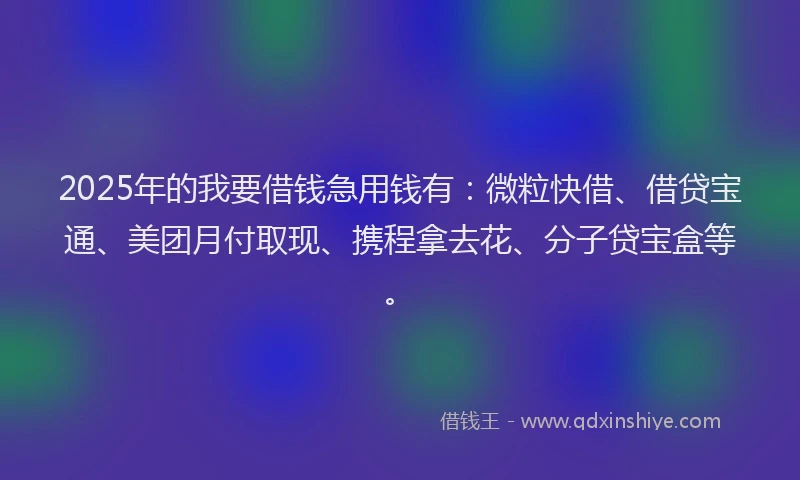 2025年的我要借钱急用钱有：微粒快借、借贷宝通、美团月付取现、携程拿去花、分子贷宝盒等。