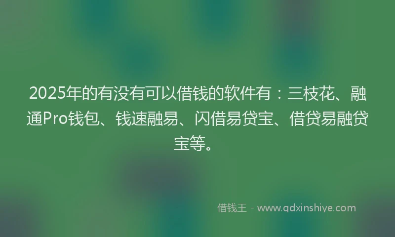 2025年的有没有可以借钱的软件有：三枝花、融通Pro钱包、钱速融易、闪借易贷宝、借贷易融贷宝等。