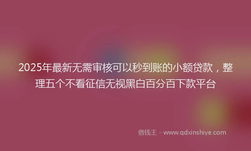 2025年最新无需审核可以秒到账的小额贷款，整理五个不看征信无视黑白百分百下款平台