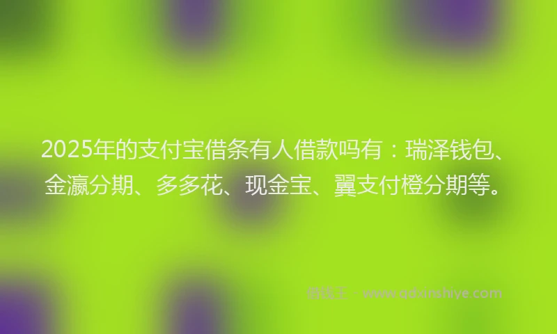 2025年的支付宝借条有人借款吗有：瑞泽钱包、金瀛分期、多多花、现金宝、翼支付橙分期等。