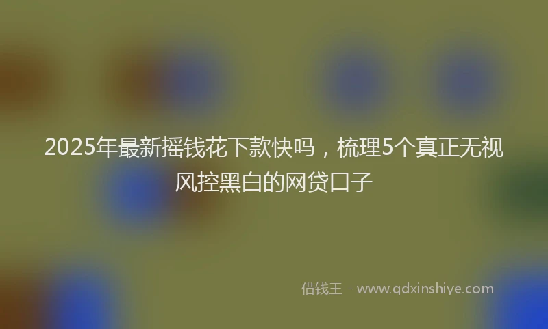 2025年最新摇钱花下款快吗，梳理5个真正无视风控黑白的网贷口子