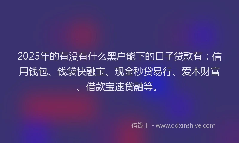 2025年的有没有什么黑户能下的口子贷款有：信用钱包、钱袋快融宝、现金秒贷易行、爱木财富、借款宝速贷融等。