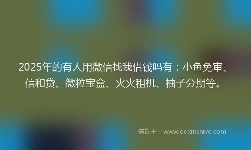 2025年的有人用微信找我借钱吗有：小鱼免审、信和贷、微粒宝盒、火火租机、柚子分期等。