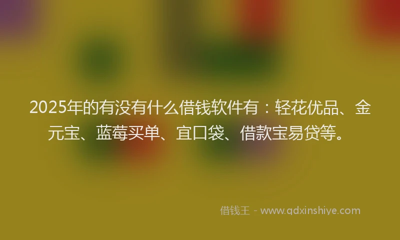 2025年的有没有什么借钱软件有：轻花优品、金元宝、蓝莓买单、宜口袋、借款宝易贷等。