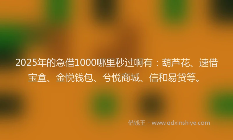 2025年的急借1000哪里秒过啊有：葫芦花、速借宝盒、金悦钱包、兮悦商城、信和易贷等。