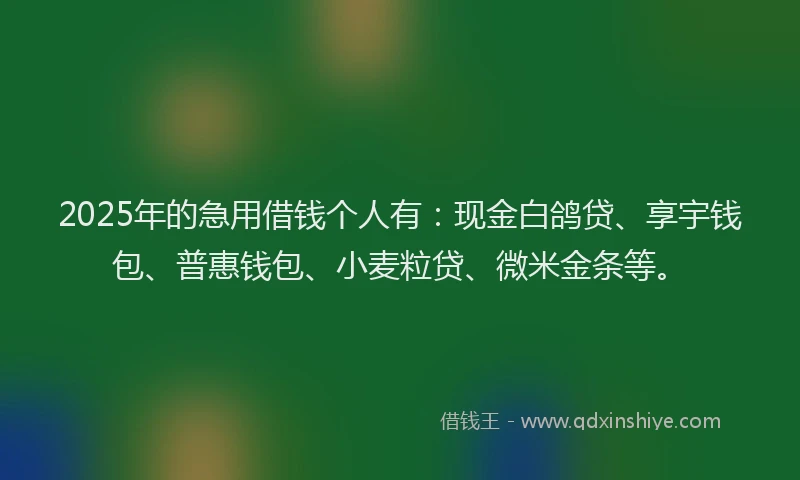 2025年的急用借钱个人有：现金白鸽贷、享宇钱包、普惠钱包、小麦粒贷、微米金条等。