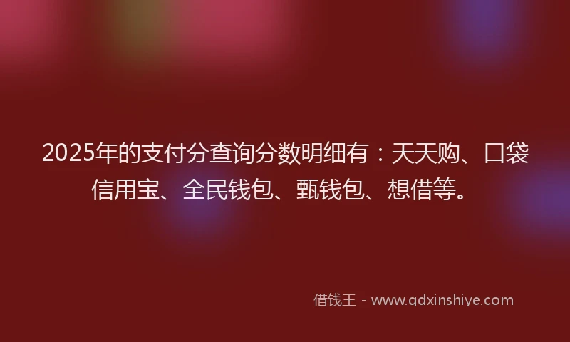 2025年的支付分查询分数明细有：天天购、口袋信用宝、全民钱包、甄钱包、想借等。