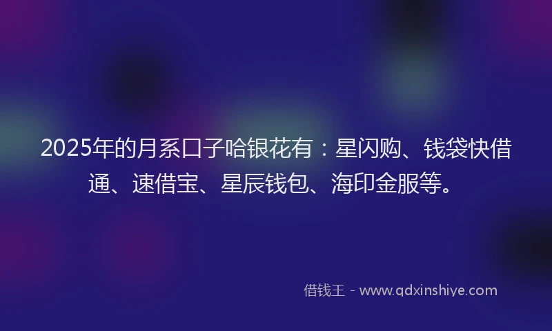 2025年的月系口子哈银花有：星闪购、钱袋快借通、速借宝、星辰钱包、海印金服等。