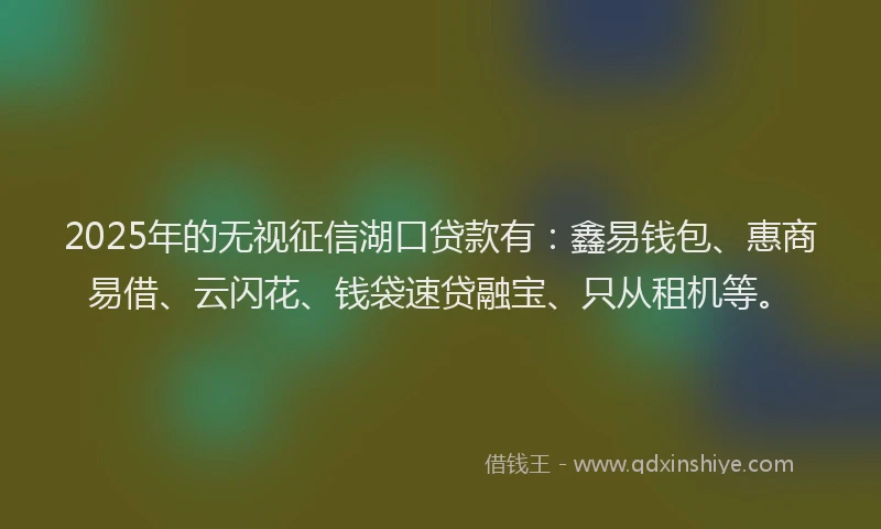 2025年的无视征信湖口贷款有：鑫易钱包、惠商易借、云闪花、钱袋速贷融宝、只从租机等。