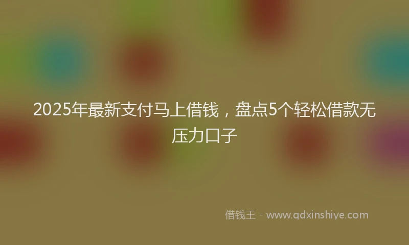 2025年最新支付马上借钱，盘点5个轻松借款无压力口子