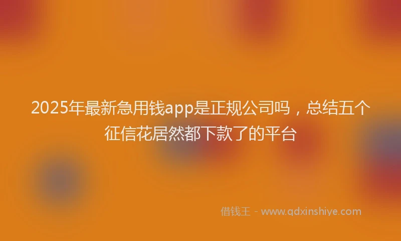 2025年最新急用钱app是正规公司吗，总结五个征信花居然都下款了的平台