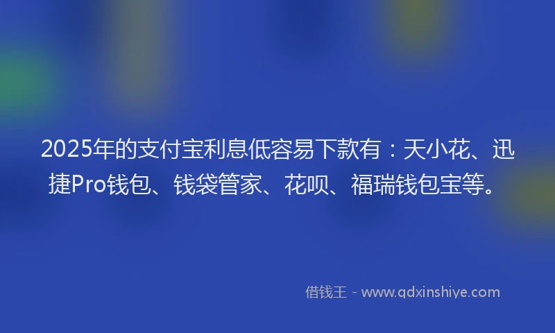 2025年的支付宝利息低容易下款有：天小花、迅捷Pro钱包、钱袋管家、花呗、福瑞钱包宝等。